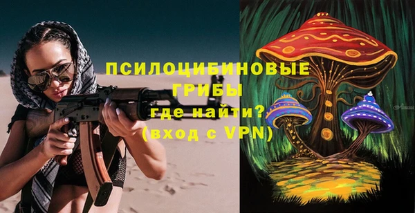 дурь Мегион