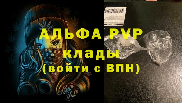 дурь Магас