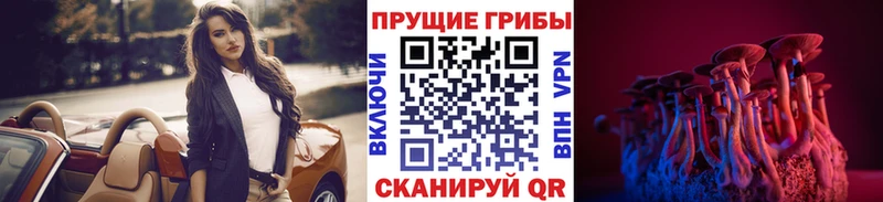 купить  сайты  Нижний Ломов  Галлюциногенные грибы мицелий 